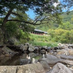 #오늘클립챌린지 #템플스테이 #표충사