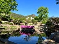 독립문PAT안산한대 | #오늘클립챌린지 #독립문공원 #안산 #봄나들이