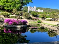 독립문PAT안산한대 | #오늘클립챌린지 #독립문공원 #안산 #봄나들이