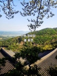 Foto de resultados de búsqueda de Naver 3