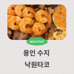 #오늘클립챌린지 #수지롯데몰 #롯데몰성복역 #성복역맛집 #낙원타코
