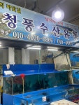 #오늘클립챌린지 #봄나들이 #청풍수산 #맛점