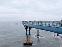 Foto aus Naver-Suchergebnissen 6