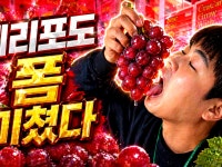 #5월여행지 #와인추천 포도먹방