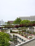 세븐일레븐 청주대캠퍼스점 | 푸릇푸릇함이 가득한 #청주대학교 카페에 방문 했다가 바로 옆이 청주대라 구경하기🌿 근데 여기도 경사가 심한 편이구나..💦 - #대학교 #청주대...
