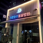 #오늘클립챌린지 #석촌호수동물병원