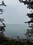 죽도에 위치한 상화원 식사 후 산책겸 한바퀴 돌기 좋아요 저는... 좋았어요 #죽도 #죽도상화원 #보령상화원 #상화원 #가정의달 #오늘클립챌린지