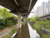 성산3교(상) | #오늘클립챌린지 #성산3교