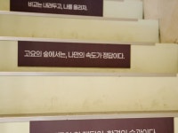 글로티스관리형스카학원 | 대치역 관리형 독서실 고민 중이라면 집중 구조부터 확인하세요 #클립챌린저 #대치동관리형스카 #대치동관리형스터디카페 #대치동독학재수학원...
