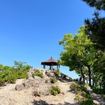 광암리 1298 정자 - 1798 | #오늘클립챌린지 성암산 정자와 정상석