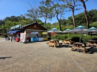 GS25부여동남점 | #부여박물관편의점 #백제역사박물관편의점 #GS25부여백제 #GS25백제문화단지 #오늘클립챌린지