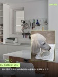 ✨ ➊ 오라델떼 📍 경기 부천시 원미구 길주로 1 🐕 대형견 가능 / 실내 동반 시 리드줄 착용 ➋ 이상 과자점 📍 경기 부천시 원미구...