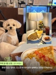 ✨ ➊ 오라델떼 📍 경기 부천시 원미구 길주로 1 🐕 대형견 가능 / 실내 동반 시 리드줄 착용 ➋ 이상 과자점 📍 경기 부천시 원미구...