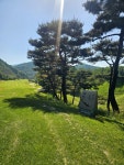 #오늘클립챌린지 #파미힐스cc #왜관골프장 # 대구근교파크골프장 #경북골프장