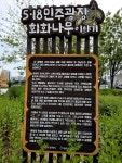 이 작은 숲 공원은 원래의 회화나무를 기념하고 새로 심은 자식나무... #518민주광장 #회화나무 #광주여행 #광주가볼만한곳 #역사여행 #기적의나무...