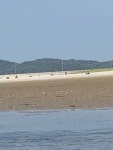 #오늘클립챌린지#가정의달#병술만#조개캐기#조개채취