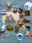 순두부청년 강릉달떡젤라또 잠실점 | 💙강릉여행 1박 2일 여행지 추천💙 📍1일차 안목해변 › 그림골목 › 카페 뤼미에르 › 초당할머니순두부 › 강릉순두부젤라또 / 초당110 ›...
