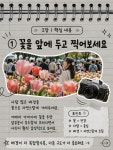 #사진팁#꽃촬영팁
