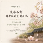 ✨ 오늘의 실천 오늘 기분을 흔드는 일이 생기면 이렇게 생각해 보세요. * 이 일이 1년 뒤에도 중요할까? * 나는 지금 사실을 보고 있는가, 감정을...