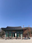 🦋 전북 완주 소양면에 위치한 조용한 사찰 <송광사> 🚩 주소 : 전북 완주군 소양면 송광수만로 255-16 💰 입장료 : 무료 #완주 #완주여행...