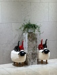 밀양노벨CC 티하우스2 | #오늘클립챌린지#밀양노벨cc#경남2인골프장#하트그린골프장
