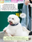 미남이네강아지옷가게 | 마곡에서 열리는 역대급 여름 대비 댕냥이 쇼핑 대축제🐶🐱 여름 필수템 구경하러 모두 마곡으로 모여라!...