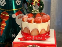 알레그리아케이크(alegria cake) | #딸기케이크