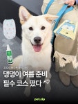 미남이네강아지옷가게 | 마곡에서 열리는 역대급 여름 대비 댕냥이 쇼핑 대축제🐶🐱 여름 필수템 구경하러 모두 마곡으로 모여라!...
