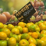 Foto aus Naver-Suchergebnissen 2