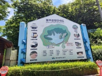 #오늘클립챌린지 #봉무공원 #대구가볼만한곳 #대구나들이 #오늘여기클립