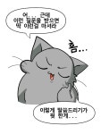 보성세곡주유소주 | 말씀드려야하죠 뭔가 전통주를 분류할수있는 대분류가 필요하지 않을까 생각합니다 #전통주 #막걸리추천 #소주추천 #맥주추천 #위스키추천