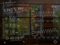 여름맞이 운동 운동💪🏼 러닝 신난다🏃♀️🏃♀️🏃♀️
