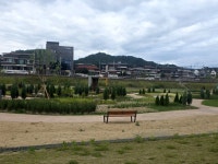 #오늘클립챌린지#강변에 새로 조성된 공원
