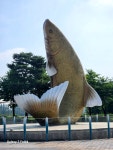 프로월드컵계양 | #북중미월드컵#오늘클립챌린지#계양아라온