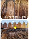 주민활성센타내미용실 | #염색#두피(탈모)관리#염색센타#