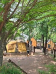 ⛺ #월출산천황야영장 #월출산 #영암여행 #영암가볼만한곳 #전남여행... 아이와여행 #국립공원 #국내여행 #여행추천 #여행스타그램 #네이버클립...