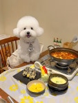 원일특수강구내식당 | 애견동반술집 원일닭발 실내 애견동반이 가능하고 펫프렌들리존까지... 곳이에요 :) #원일닭발 #강서구청애견동반술집 #강서구청닭발맛집...