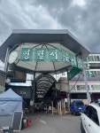 #오늘클립챌린지 #영월서부시장 #영월여행
