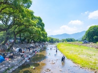 계곡 📍마산 거락계곡 경상남도 창원시 마산합포구 진정면 거락2길 6 📆2026. 06.01- 09.30... #거락계곡 #마산계곡 #창원계곡 #부산근교계곡...