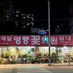 영풍식물원꽃집화원 | #오늘클립챌린지 영풍꽃화원