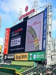 세븐일레븐(사직야구장2호점15번매장) | #오늘클립챌린지 사직야구장 외야 922구역 9열 15번 시야