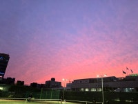 #오늘클립챌린지#테니스장#남부도로사업소테니스장