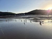 안면도밧개해녀 | #오늘클립챌린지 #안면도여행 #밧개해수욕장