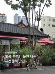 Foto aus Naver-Suchergebnissen 4