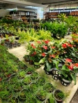 Foto aus Naver-Suchergebnissen 3