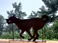 Foto aus Naver-Suchergebnissen 5