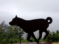 Foto aus Naver-Suchergebnissen 6