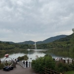Foto aus Naver-Suchergebnissen 5