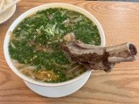 #오늘여기클립#쌀국수#포레스트오늘숲