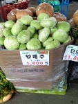 뉴아람마트밀양점 | #오늘여기클립 #뉴아람식자재마트 양배추 한 개에 1000원이라네요 대박!